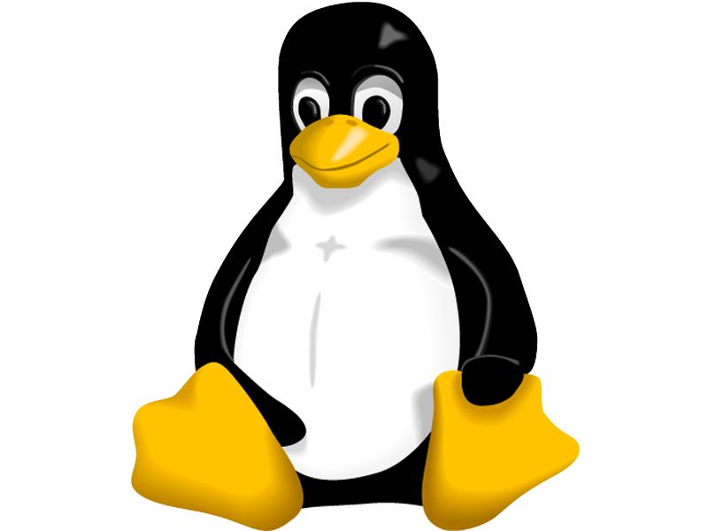 Tux the Linux penguin